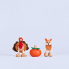 Harvest Mini Crate Turkey, Pumpkin and Fox wooden toys, front view