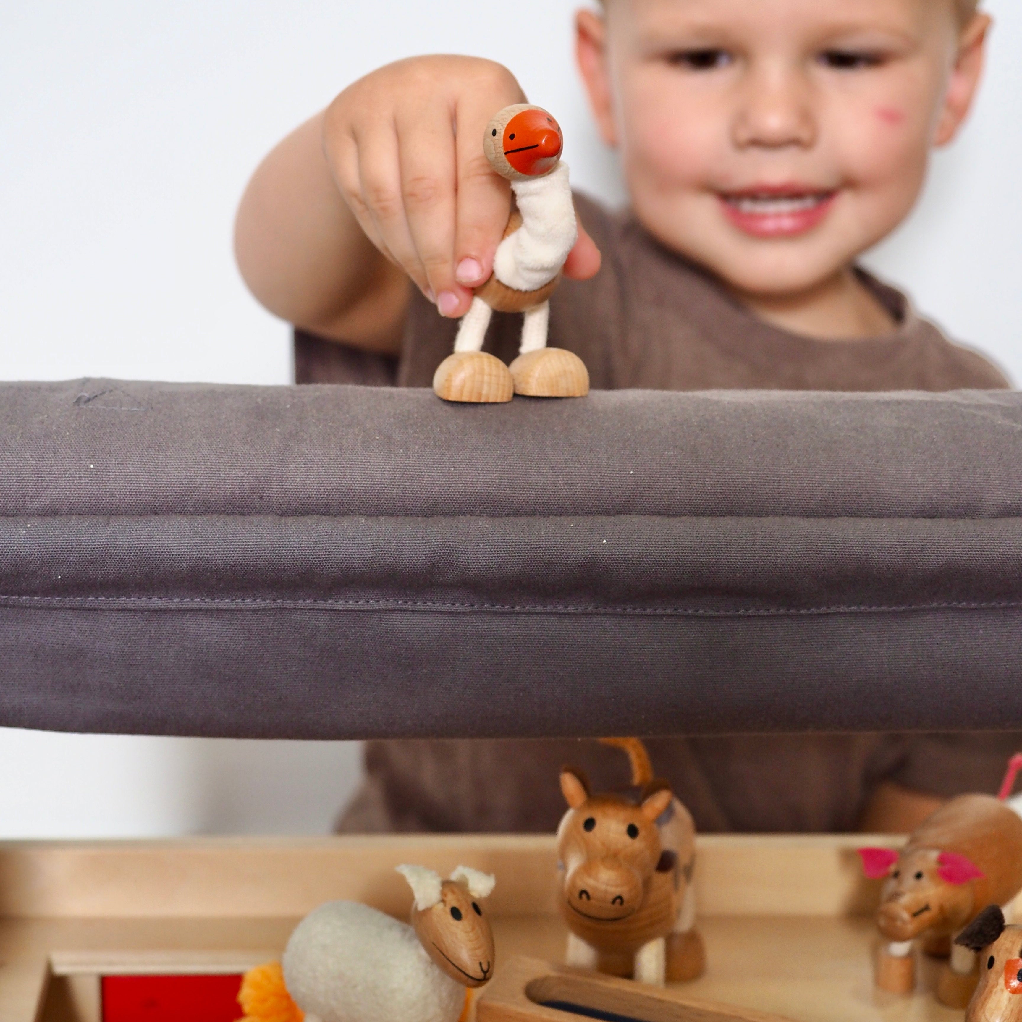 Packaging of Anamalz Wooden Goose – eco-friendly educational toy for kids