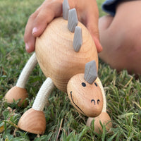 Role Play Toys