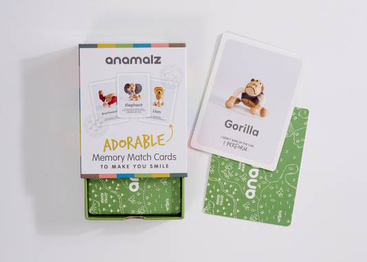 Memory match card game with 'anamalz' branding on a white background