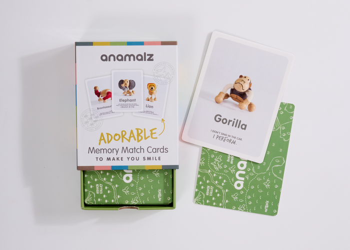 Memory match card game with 'anamalz' branding on a white background