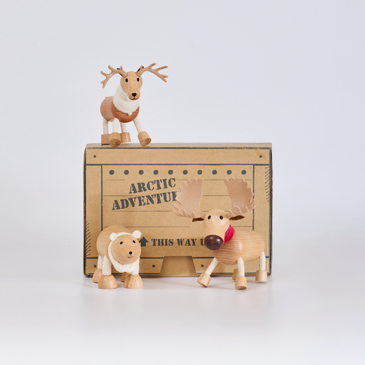 Icebergs Mini Crate: Arctic Adventures