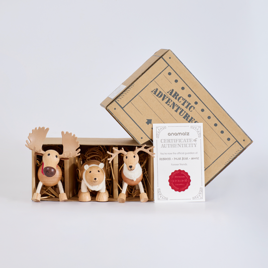 Icebergs Mini Crate: Arctic Adventures