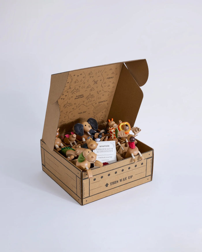The Storyteller Collection