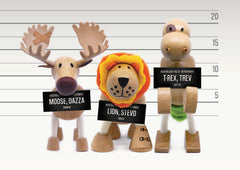 The Line-up